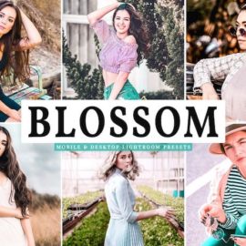 Blossom Mobile & Desktop Lightroom Presets Free Download