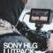 HLG CINEMATIC LUT PACK | Sony A7III (HLG3) Hybrid Log Gamma – Free download