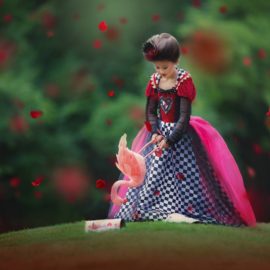 LemmonMade Photography – Queen of Hearts Edit