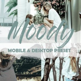 Moody Mobile Lightroom Presets 2769263