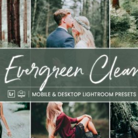 CreativeMarket – Lightroom Presets Evergreen Clean 4412831 Free Download