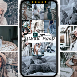 GraphicRiver – Silver Mood Lightroom Presets 25048351 Free Download