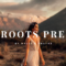 Melli & Shayne – The Roots Presets