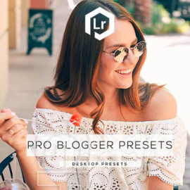 GraphicRiver – 24 Pro Blogger Presets 25591496