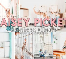 CreativeMarket – 83. Maisey Pickett Presets 4521113 Free Download