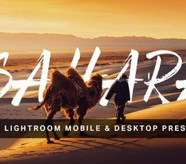 50 Sahara Lightroom Presets and LUTs Free Download