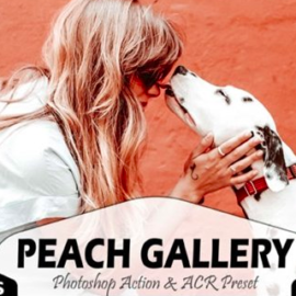 10 Peach Gallery Photoshop Actions 2968784