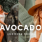 CreativeMarket – 5 AVOCADO LIGHTROOM PRESETS 4469008