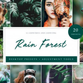 CreativeMarket – Rain Forest // Desktop Presets 4594872