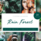 CreativeMarket – Rain Forest // Desktop Presets 4594872