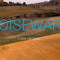 NOISEWARE noise removal Free Download