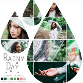 Kamin Rainy Day Lightroom Presets