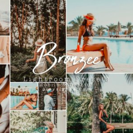 CreativeMarket – 73. Bronzee Presets 4490134