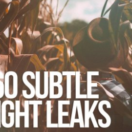 60 Subtle Light Leaks Free Download