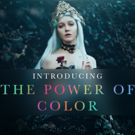 The Portrait Masters – The Power of Color to Transform Your Images Complete Bundle