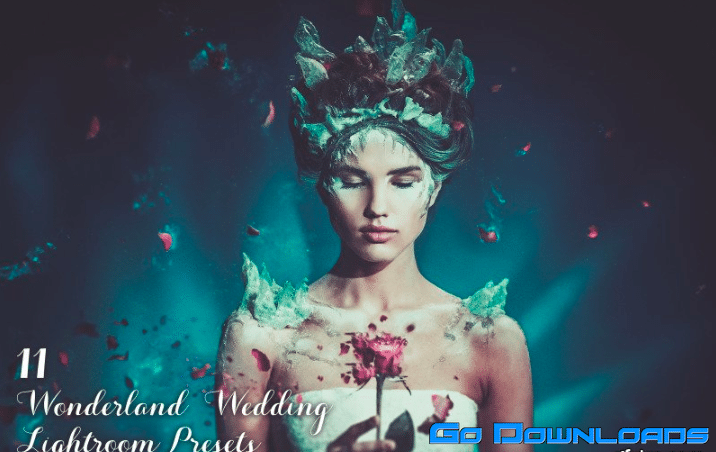 11 Wonderland Wedding Lightroom Presets Free Download