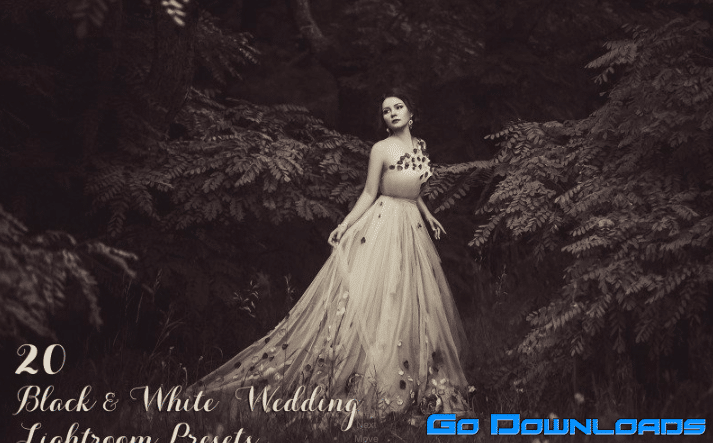 20 Black & White Wedding Lightroom Presets Free Download