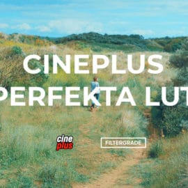 Cineplus Perfekta LUT Free Download