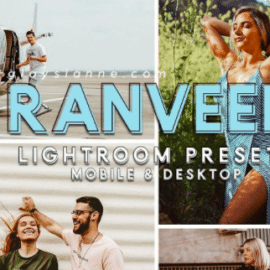 CreativeMarket 79. Ranveer Presets Free Download