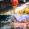 Japan Mobile & Desktop Lightroom Presets Free Download