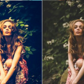 Lomography Lightroom Presets Free Download