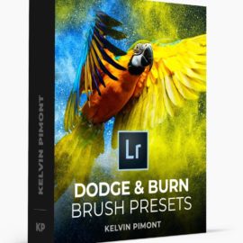 PhotoSerge – Lightroom Brush Presets – Dodge & Burn Free Download