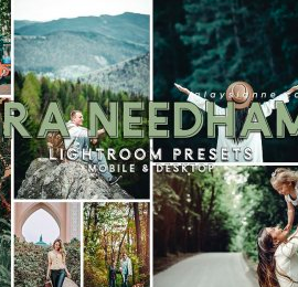 CreativeMarket – 82. Ira Needham Presets 4512913 Free Download