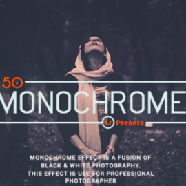 50 Monochrome Lightroom Presets Free Download