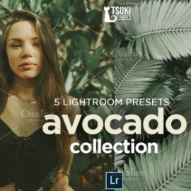 CreativeMarket – AVOCADO Lightroom Presets 4619013 Free Download