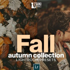 CreativeMarket – FALL Autumn Collection LR Presets 4628493 Free Download