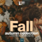 CreativeMarket – FALL Autumn Collection LR Presets 4628493 Free Download