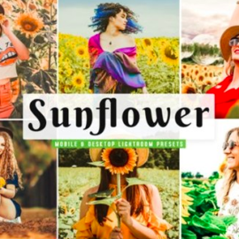 CM – Sunflower Lightroom Presets Pack 4659224 Free Download