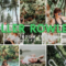 CreativeMarket – 87. Miller Rowley Presets 4584682 Free Download