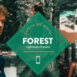 CreativeMarket – Forest Lightroom Mobile Presets 4593838 Free Download