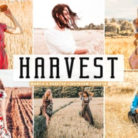 Harvest Pro Lightroom Presets 3632056 Free Download