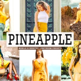 Pineapple Lightroom Presets Pack 3629223 Free Download