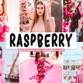 CM – Raspberry Pro Lightroom Presets 4667170 Free Download