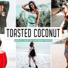 CM – Toasted Coconut Lightroom Presets 4667123 Free Download