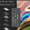 Genesis Brush Pack V1 for Photoshop & Blender 3D Free Download