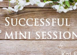 IPS Mastermind – Successful Mini Sessions by Kat Forder