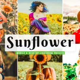 Sunflower Mobile & Desktop Lightroom Presets Free Download