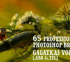 CreativeMarket – Gagatkas vol2- PRO Photoshop brushes 4571338 Free Download