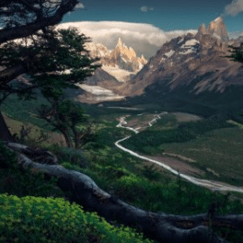 Max Rive – ”Green paradise” + 48 MIN BONUS PROCESSING VIDEO + 3 RAW FILES