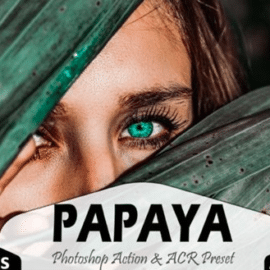 Papaya Photoshop Actions and ACR Presets 1668550 Free Download