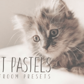 CM – Soft Pastel Lightroom Presets 484418 Free Download