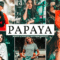 Papaya Mobile & Desktop Lightroom Presets Free Download