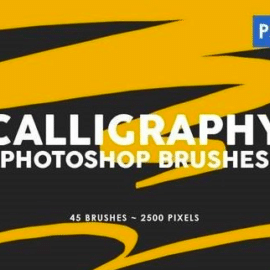 45 Calligraphy Photoshop Stamp Brushes Free Download