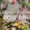 Chasitey Pounds Video LUTs Free Download