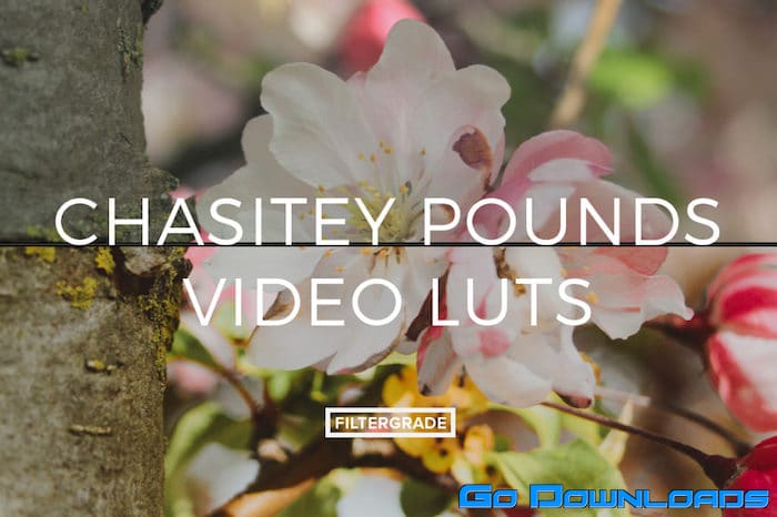 Chasitey Pounds Video LUTs Free Download