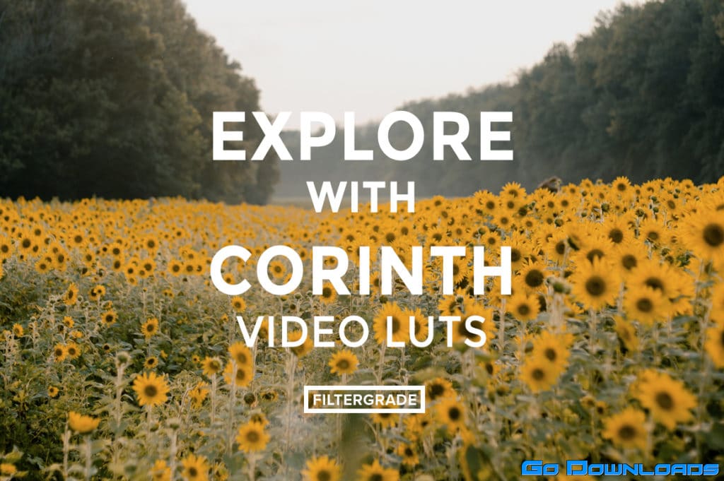 Corinth Suarez Video LUTs Free Download